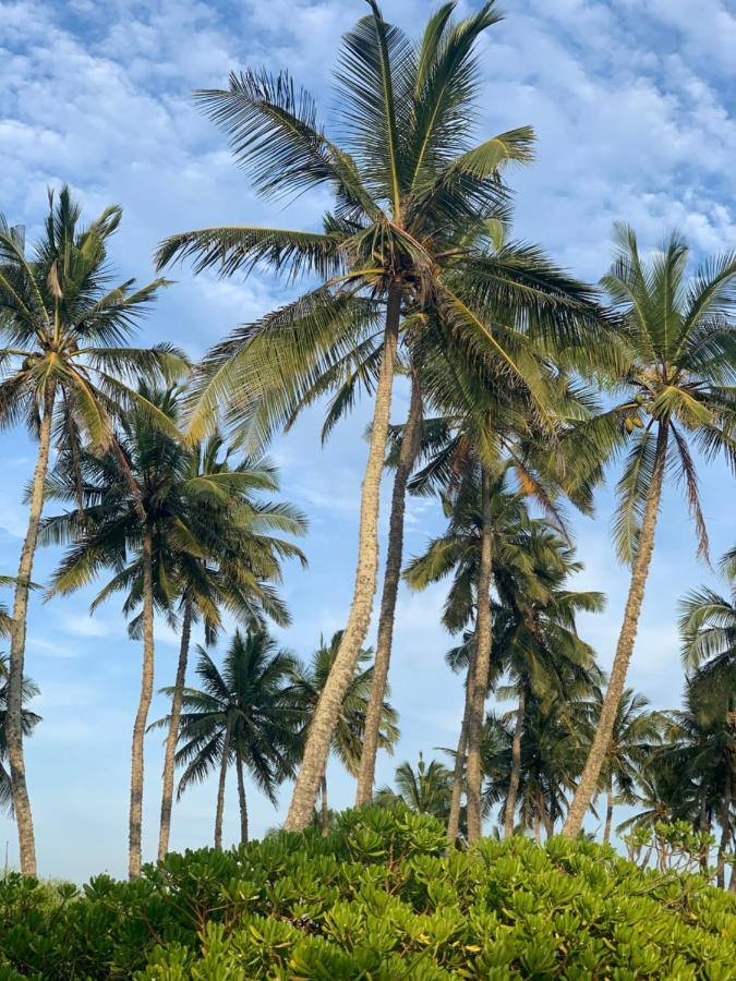 Serein Beach Hotel Tangalle Exterior photo